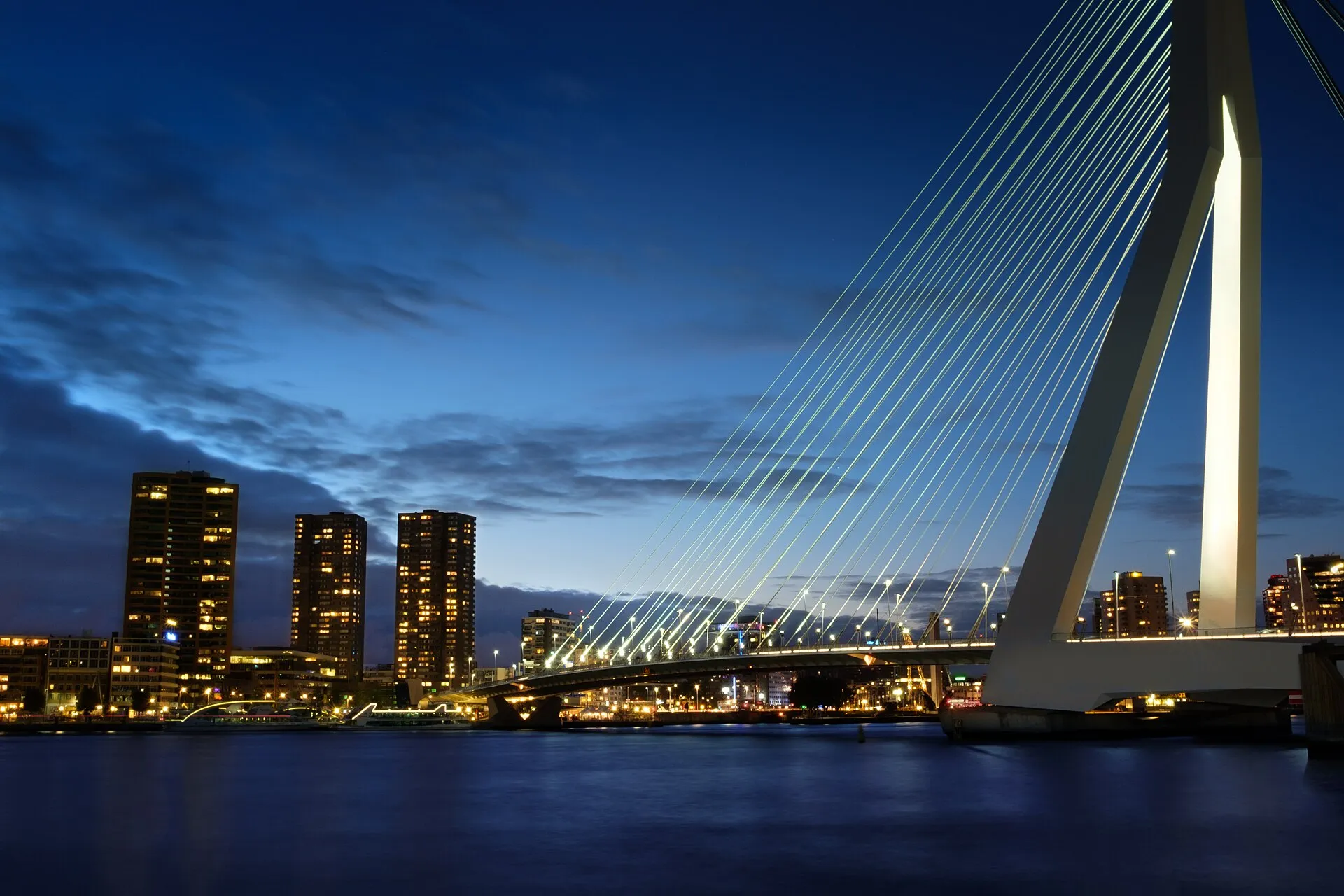 De Erasmusbrug en de skyline van Rotterdam bij avond